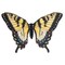 Hearthsong Kids Dress Up Butterfly Wings - Swallowtail